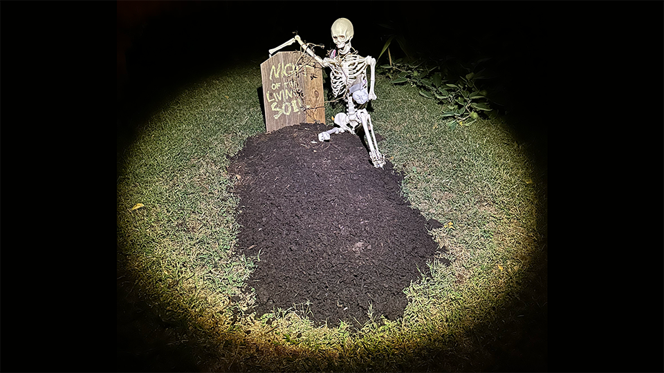 Night of the Living Soil